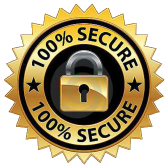 100% Secure Payment